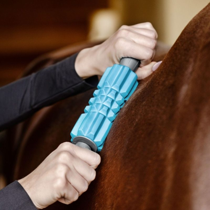 Massage Roller Fascia Fit Light Blue in the group Grooming & Health Care / Massage & Blood Circulation at Equinest (5700700LBL)