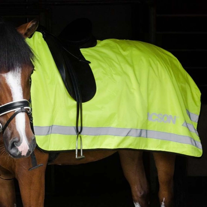 Exercise Rug with Reflectors in the group Horse Rugs / Exercise Sheets at Equinest (580316)