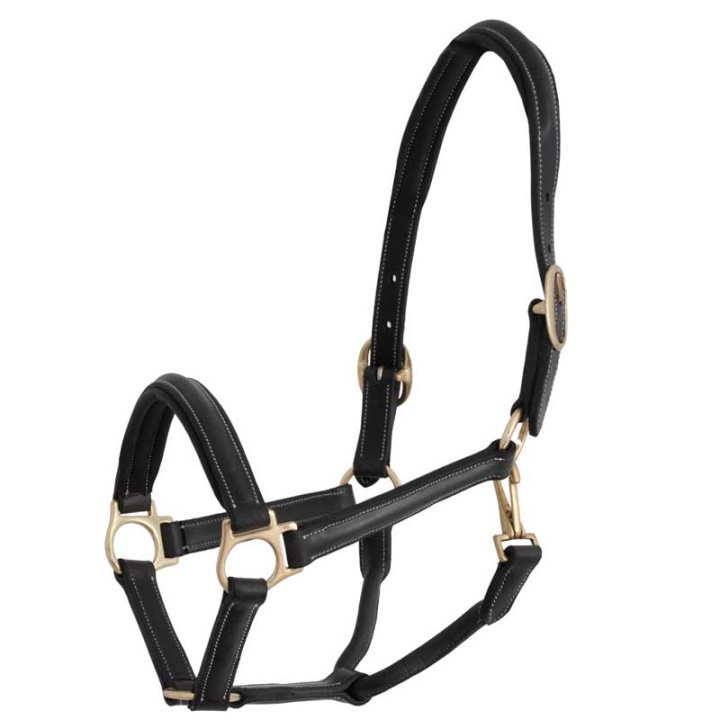 Leather Halter Cancun Black in the group Horse Tack / Halters / Leather Halters at Equinest (587067_S_r)