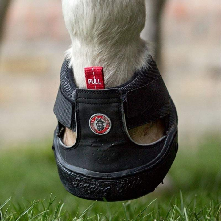 Hoof Boot Trekking Shoe Slim Black in the group Horse Tack / Hoof Boots & Accessories at Equinest (59060107BA_r)