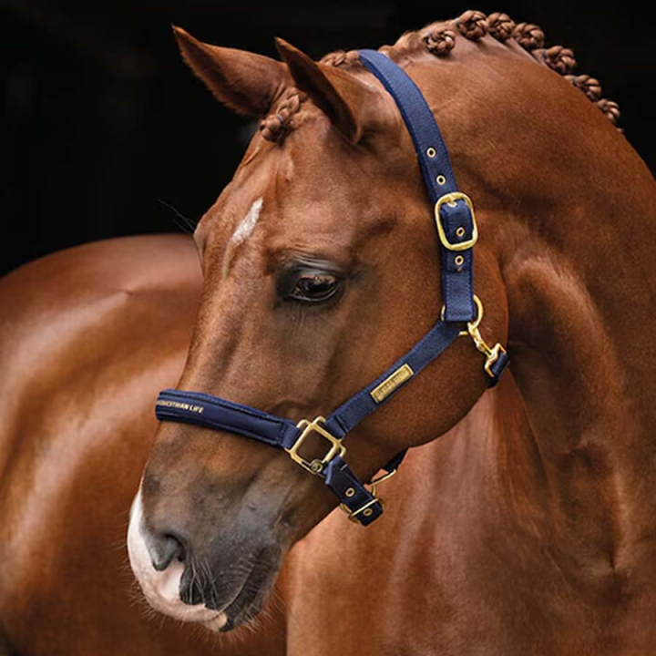 Halter HS Equestrian Life Navy Blue in the group Horse Tack / Halters / Fabric & Nylon Halters at Equinest (600543NA_r)