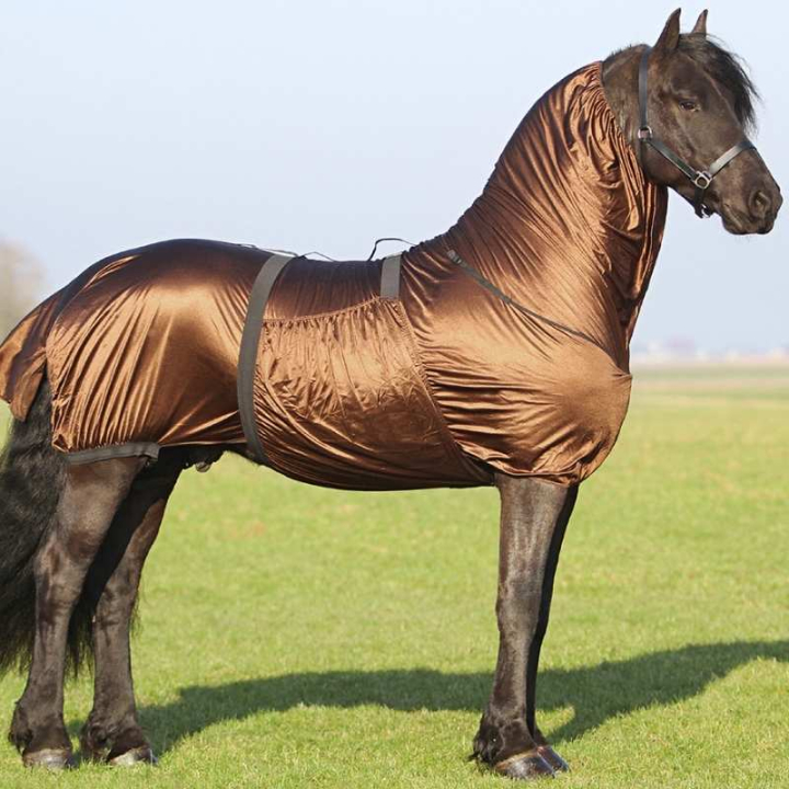 Sweet Itch Rug Big Neck Brown in the group Horse Rugs / Fly Rugs & Eczema Rugs at Equinest (6005BR18BR_r)