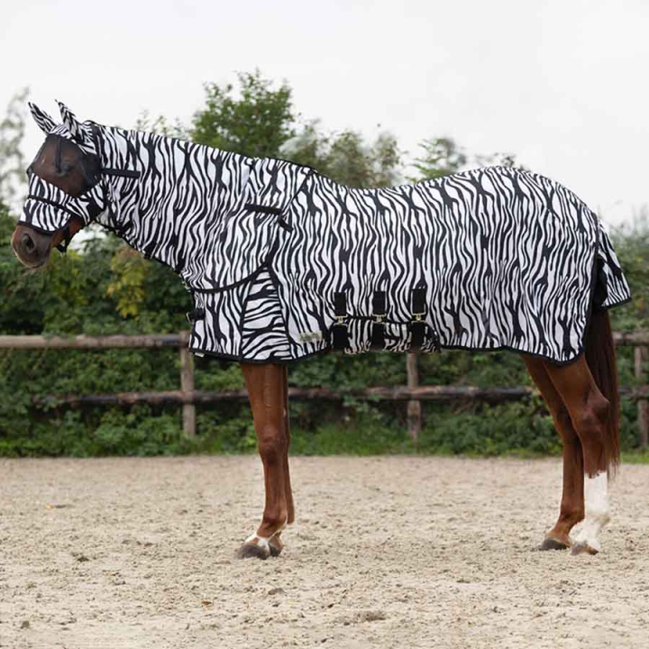 Fly Rug with Detachable Neck and Ear Bonnet Zebra Black/White in the group Fly Protection / Fly Rugs at Equinest (6013ZE125BAWH_r)