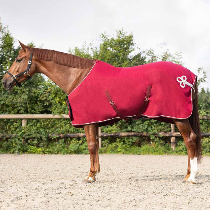 Fleece Rug Ornament Burgundy/Silver in the group Horse Rugs / Fleece Rugs at Equinest (6014BOZI145WN_r)