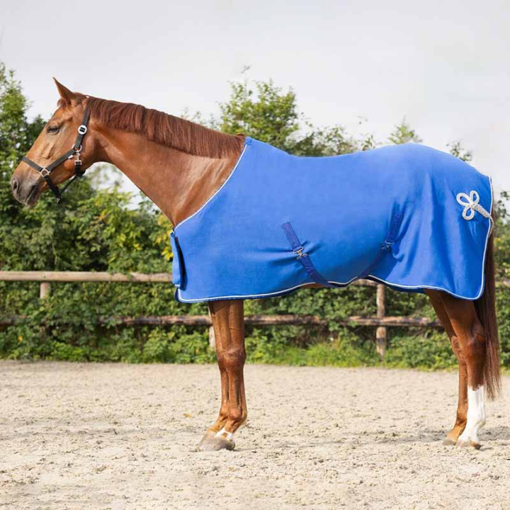 Fleece Rug Ornament Blue/Silver in the group Horse Rugs / Fleece Rugs at Equinest (6014KBLZI145BL_r)