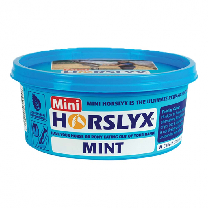 Lick Mini Mint Balancer 650g in the group Supplements / Horse Supplements / Salt Licks, Mineral Blocks & Lick Stones at Equinest (603327-MINT)