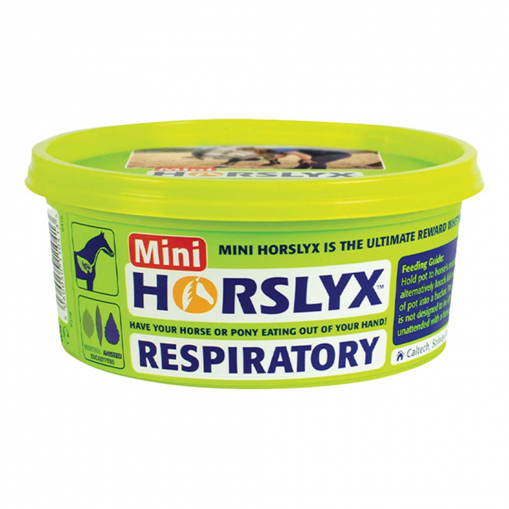Lick Mini Respiratory Balancer 650g in the group Supplements / Horse Supplements / Salt Licks, Mineral Blocks & Lick Stones at Equinest (603327-RESP)