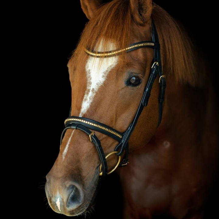 Bridle HS Clincher Aachen Black in the group Horse Tack / Bridles & Browbands / Bridles at Equinest (603350BA_r)