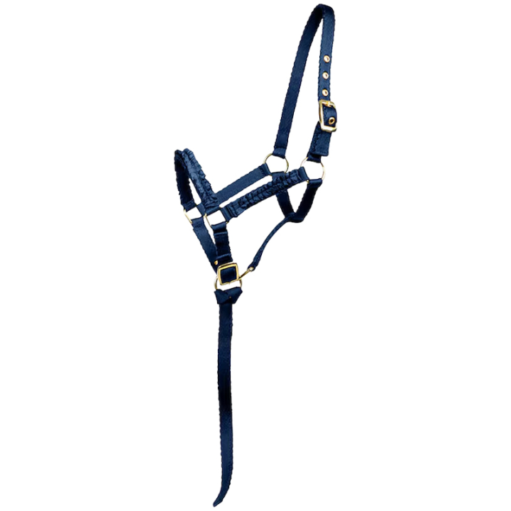 Foal Halter HS Unlined Blue in the group Horse Tack / Halters / Foal Halters at Equinest (603426BL_r)
