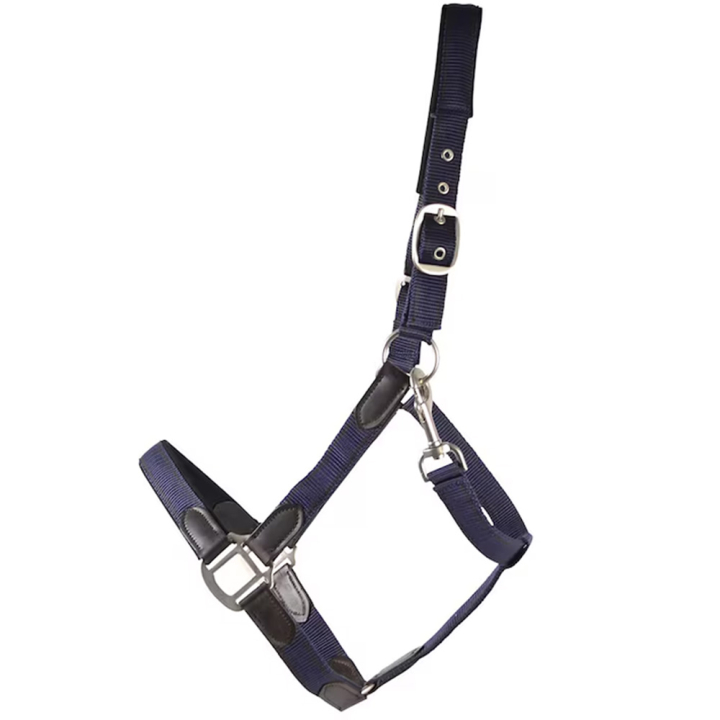 Halter HS Edit Navy Blue in the group Horse Tack / Halters / Fabric & Nylon Halters at Equinest (603858NA_r)