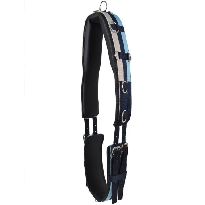 Lunging Surcingle HS Blue in the group Horse Tack / Lunging & Long Reining at Equinest (604419BL_r)