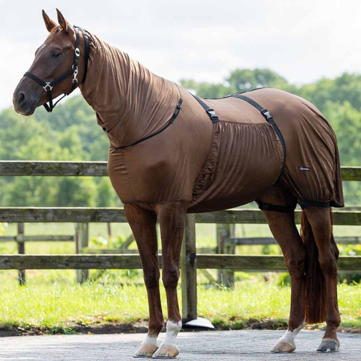 Sweetitch Rug UV-Resistant Brown in the group Fly Protection / Fly Rugs at Equinest (6060BR105BR_r)