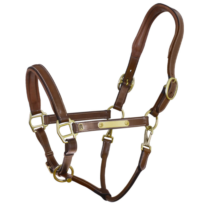 Leather Halter E-logo Brown/Brass in the group Horse Tack / Halters / Leather Halters at Equinest (607001000303BR)