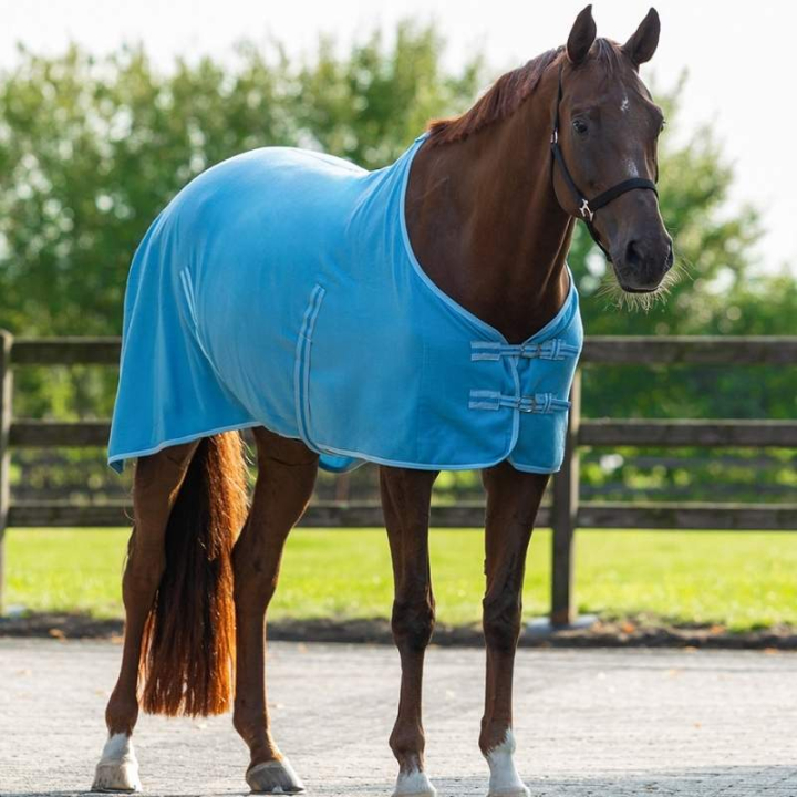 Fleece Rug Color Blue in the group Horse Rugs / Fleece Rugs at Equinest (6121BLUE)