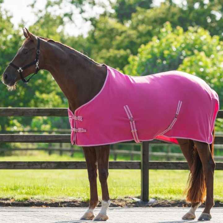 Fleece Rug Color Pink in the group Horse Rugs / Fleece Rugs at Equinest (6121PI)