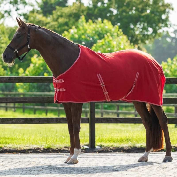 Fleece Rug Color Red in the group Horse Rugs / Fleece Rugs at Equinest (6121RE)
