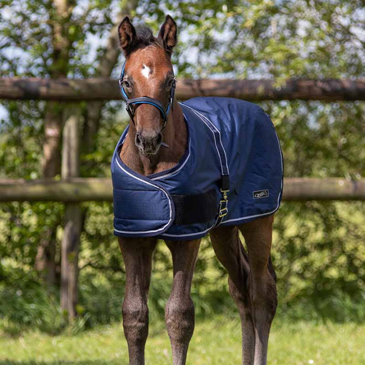 Foal Rug Turnout 600D 100g Navy Blue in the group Horse Rugs / Turnout Rugs / Winter Rugs at Equinest (6146NA)