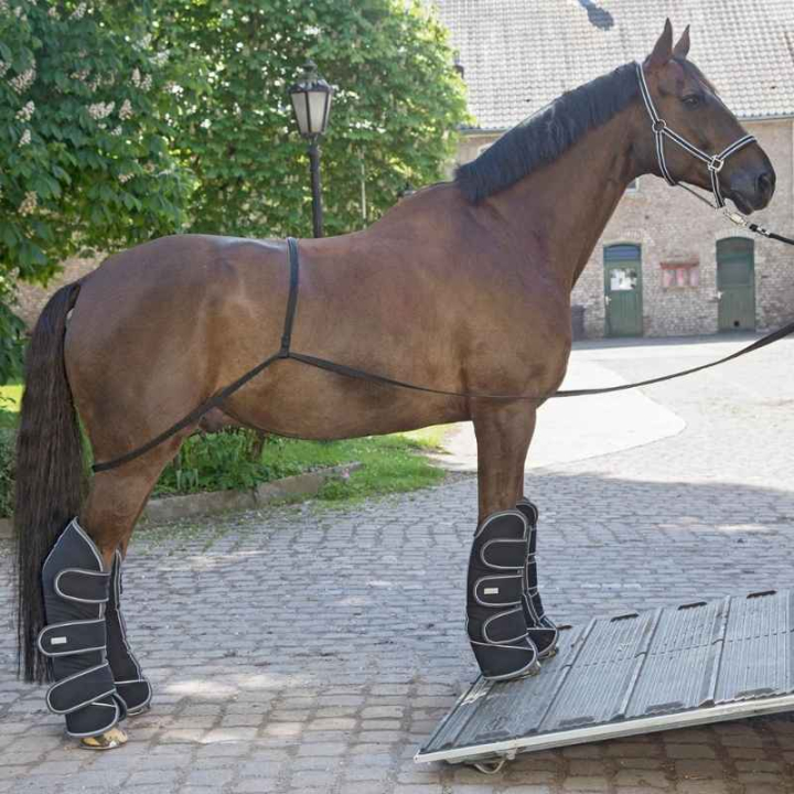 Transport Aid Black in the group Horse Tack / Transport at Equinest (6178200BA)