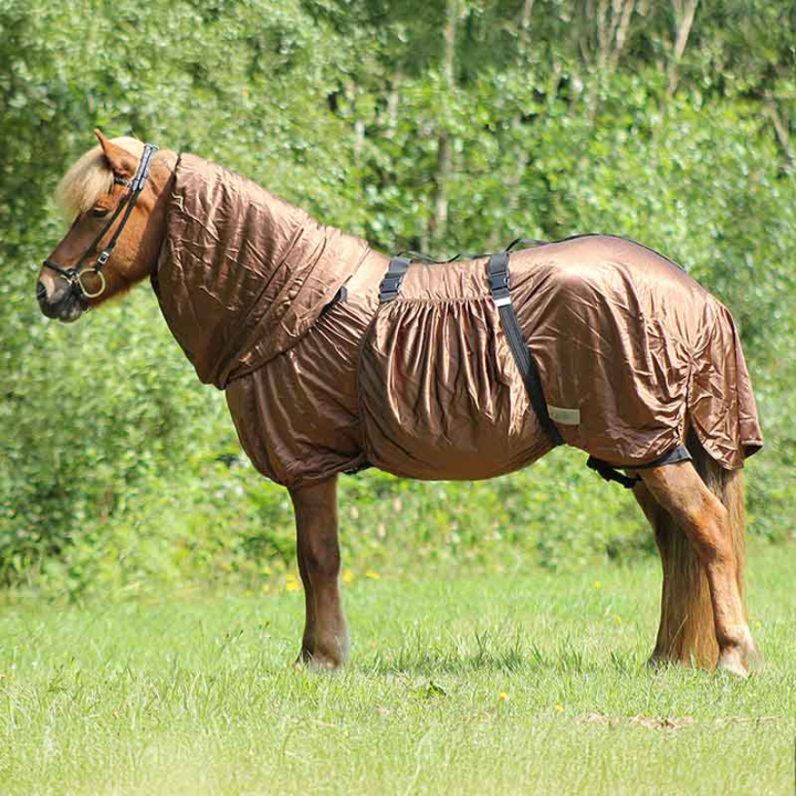 Sweetitch Rug Icelandic UV-Protection Brown in the group Fly Protection / Fly Rugs at Equinest (6212BR165BR_r)