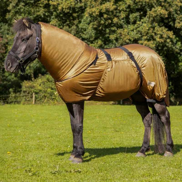 Sweetitch Rug Icelandic UV-Protection Brown in the group Fly Protection / Fly Rugs at Equinest (6212BR165BR_r)