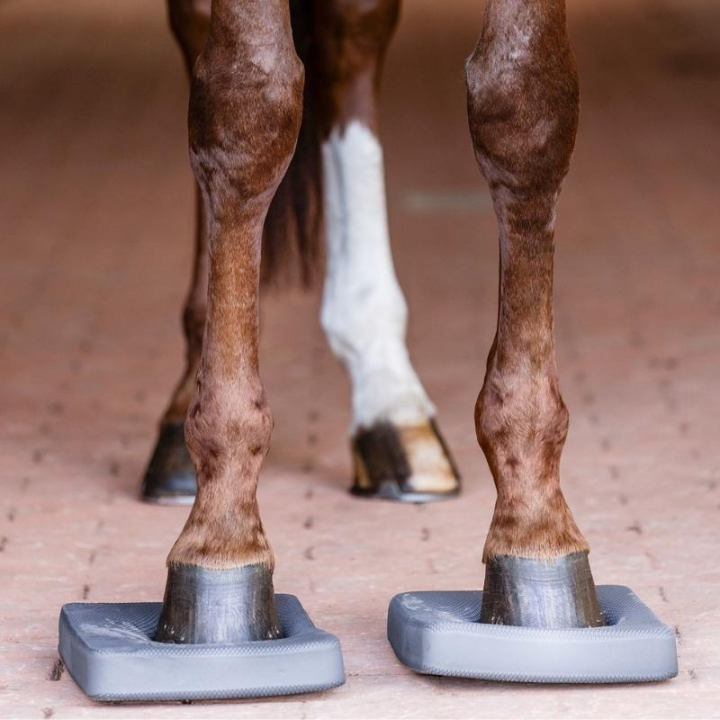 Balance Pads 2-pack Grey in the group Horse Tack / Horse Tack Accessories at Equinest (6319610GR)