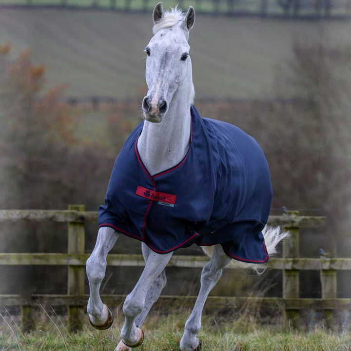 Rain Sheet Freedom Turnout Light 0g Grey in the group Horse Rugs / Turnout Rugs / Rain Sheets at Equinest (64320Gr_r)
