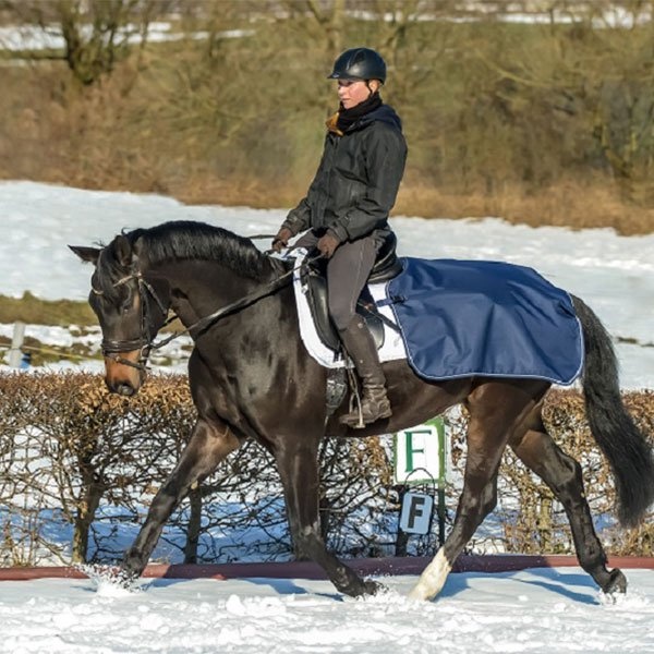 Quarter Rug Navy in the group Horse Rugs / Exercise Sheets at Equinest (6612562_Ma_r)