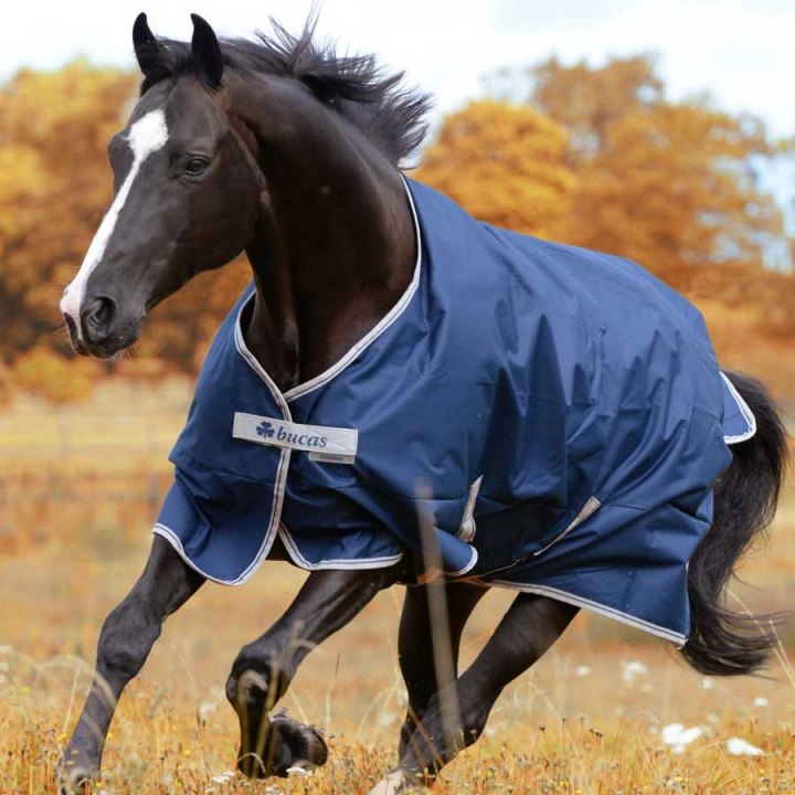 Winter Rug Freedom Turnout 150g Navy in the group Horse Rugs / Turnout Rugs / Winter Rugs at Equinest (66200-150-Ma_r)