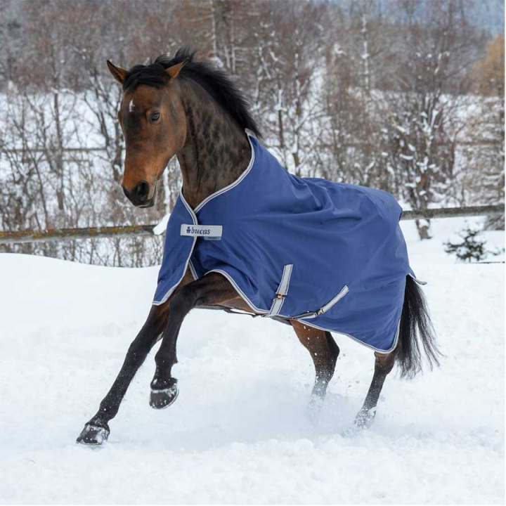 Winter Rug Pony Freedom Turnout 150g Navy in the group Horse Rugs / Turnout Rugs / Winter Rugs at Equinest (66300P-150-Ma_r)