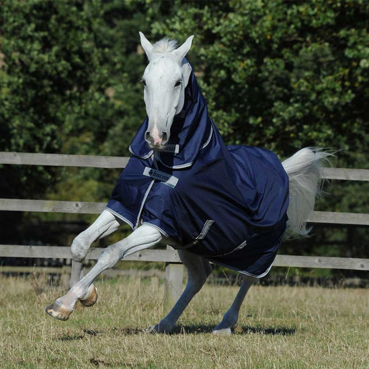Rain Sheet with Neck Freedom Turnout 0g 0Navy in the group Horse Rugs / Turnout Rugs / Rain Sheets at Equinest (67320Ma_r)