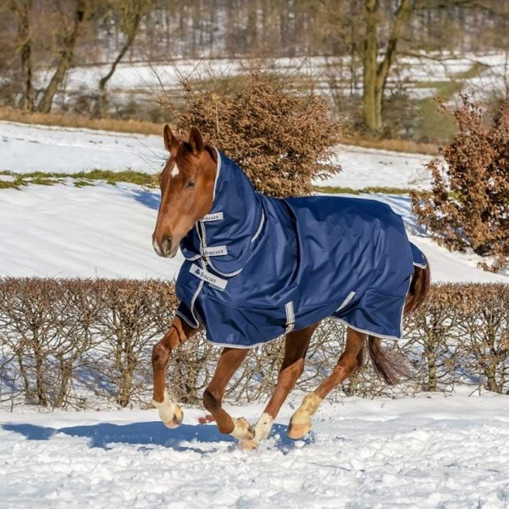 Winter Rug with Neck Freedom 0Turnout 300g Navy in the group Horse Rugs / Turnout Rugs / Winter Rugs at Equinest (67325-300-Ma_r)