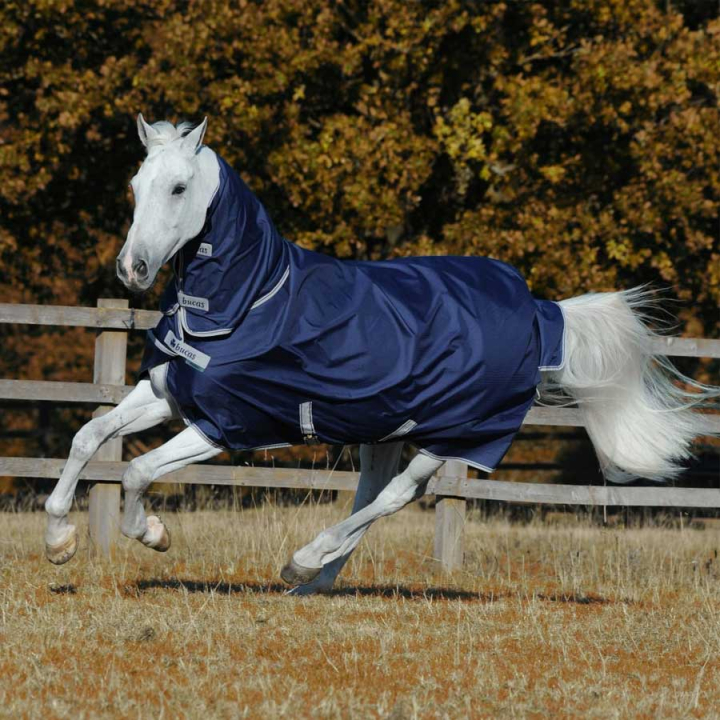 Winter Rug with Neck Freedom 0Turnout 150g Navy in the group Horse Rugs / Turnout Rugs / Winter Rugs at Equinest (67325_M_r)