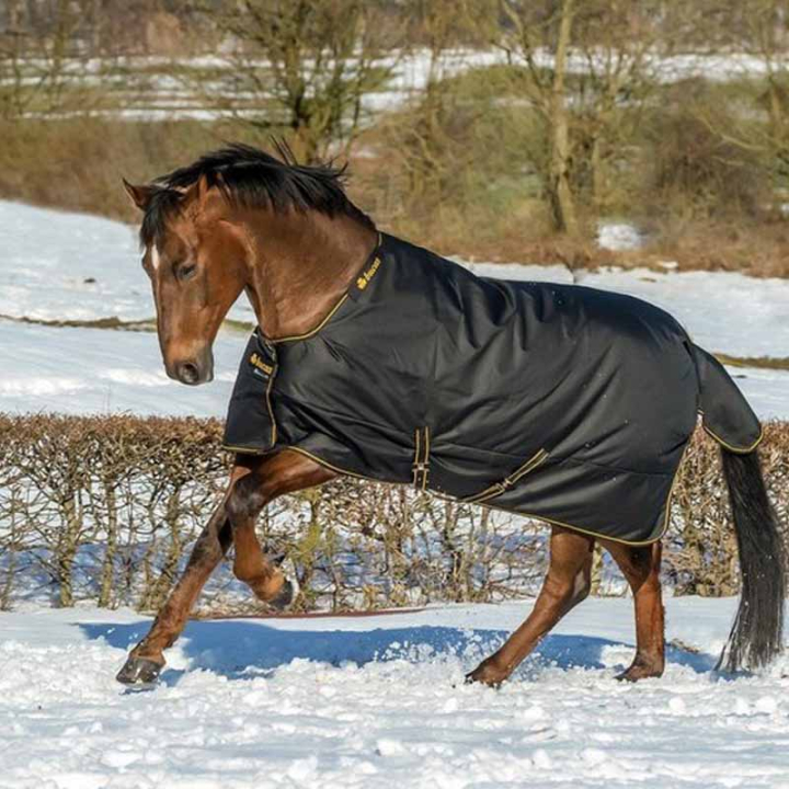 Winter Rug Irish Turnout 250g Black/Gold in the group Horse Rugs / Turnout Rugs / Winter Rugs at Equinest (6761522BAGO_r)