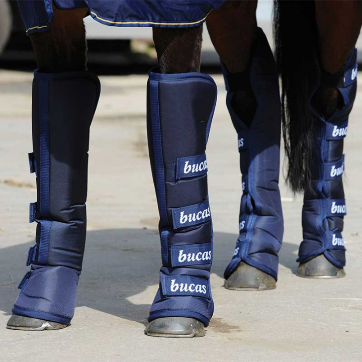 Transport Boots Navy in the group Horse Tack / Leg Protection / Travel Boots & Stable Boots at Equinest (70720Ma_r)