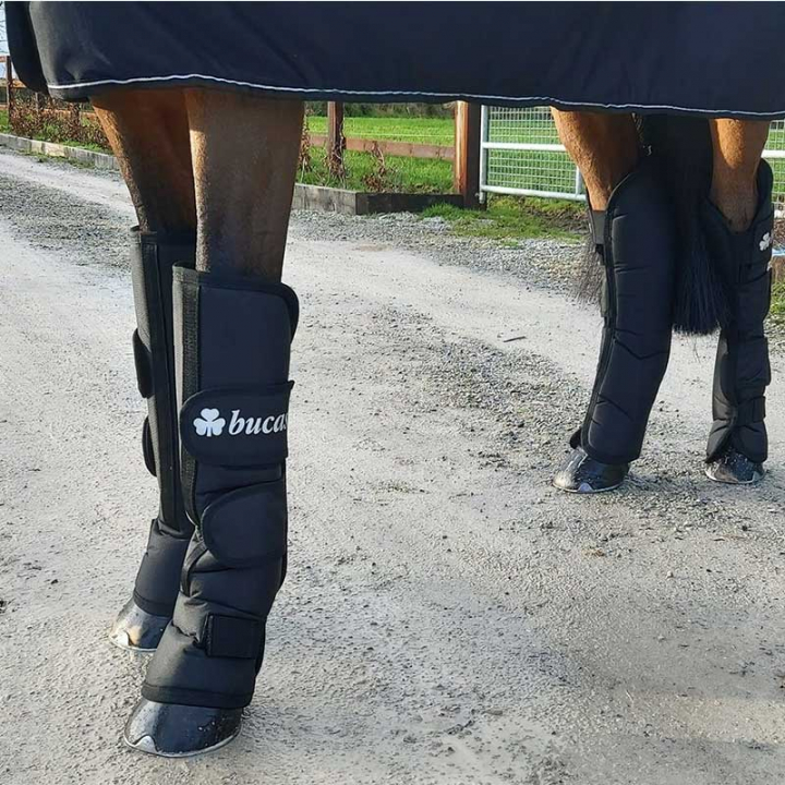 Transport Boots Black in the group Horse Tack / Leg Protection / Travel Boots & Stable Boots at Equinest (70720Sv_r)