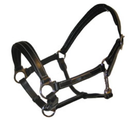 Leather Halter Black in the group Horse Tack / Halters / Leather Halters at Equinest (712013_S_r)