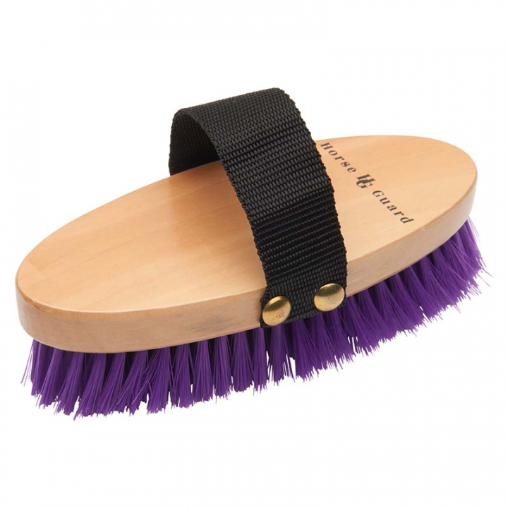 Body Brush HG Purple in the group Grooming & Health Care / Horse Brushes / Body Brushes at Equinest (73040PU)