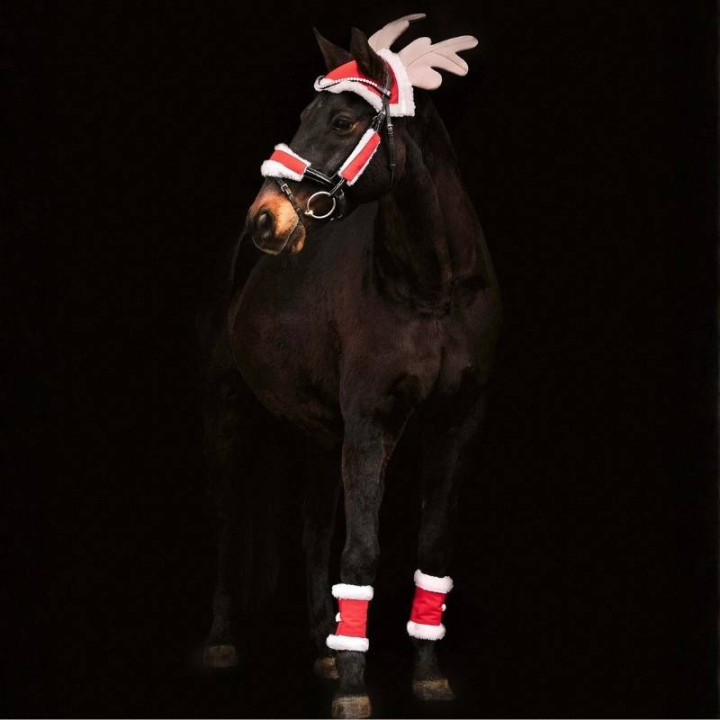 Christmas Set 6 pieces Red/White in the group Holidays & Masquerade at Equinest (7464801REWH)