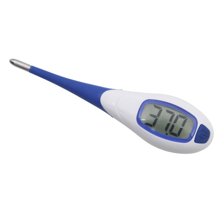 Fever Thermometer in the group Grooming & Health Care / Horse Pharmacy at Equinest (77990002)