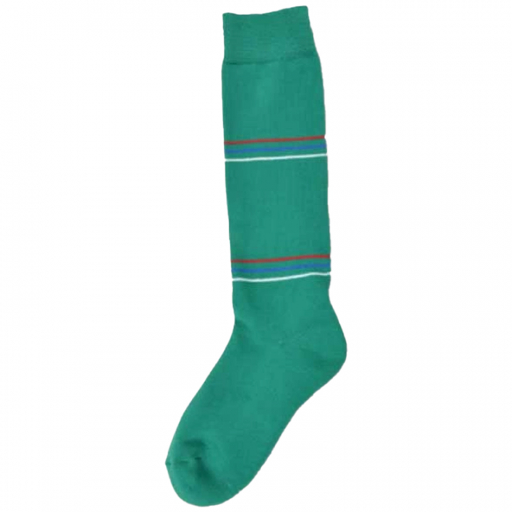 Riding Sock Striped Green in the group Equestrian Clothing / Riding Socks at Equinest (79720077Gr_r)