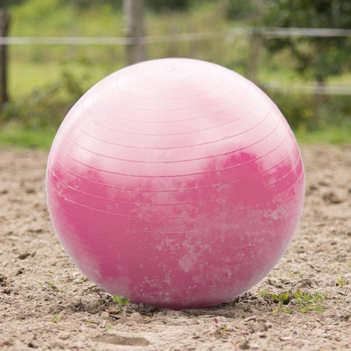 Horse Soccer Pink in the group Stable & Paddock / Horse Toys at Equinest (8005RZ80100PI)