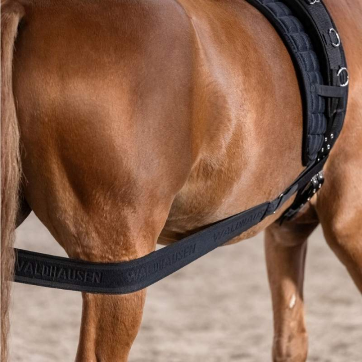 Body Bandage Elastic Black Cob/Full in the group Horse Tack / Lunging & Long Reining at Equinest (81053012BA-CF)