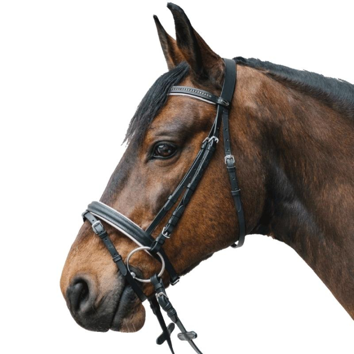 Bridle Diamond Black/White in the group Horse Tack / Bridles & Browbands / Bridles at Equinest (81357002BAWH_r)