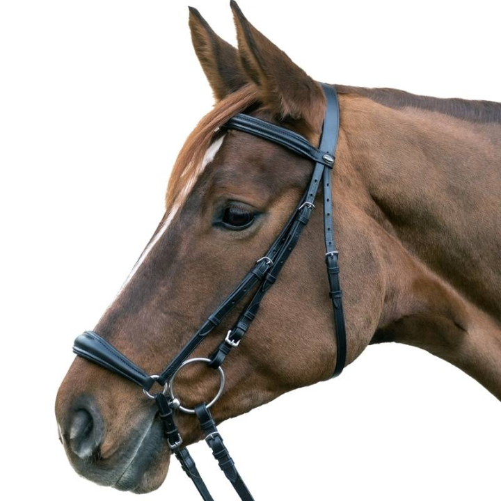Drop Noseband Bridle Hannover Black in the group Horse Tack / Bridles & Browbands / Bridles at Equinest (813801POBA_r)