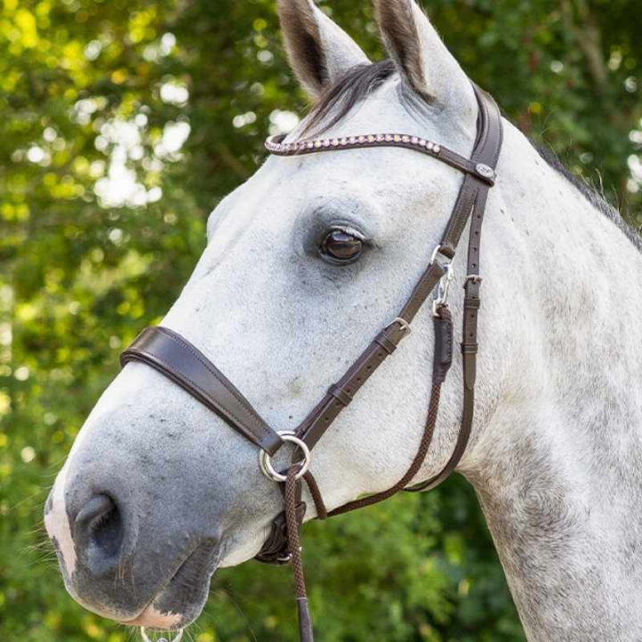 Bitless Bridle Sunna Brown in the group Horse Tack / Bridles & Browbands / Hackamores & Bitless Bridles at Equinest (9074BR3BR_r)