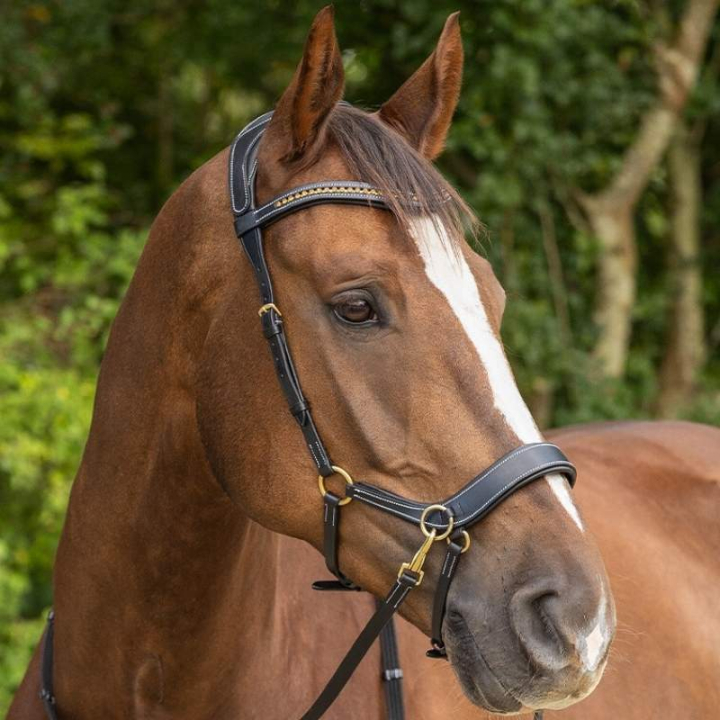 Bitless Bridle Anatomical Black in the group Horse Tack / Bridles & Browbands / Hackamores & Bitless Bridles at Equinest (9089BA)