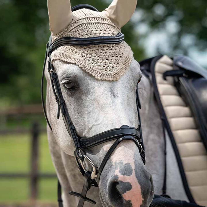 Anatomical Bridle Salerno Black in the group Horse Tack / Bridles & Browbands / Bridles at Equinest (9106ZW3BA_r)