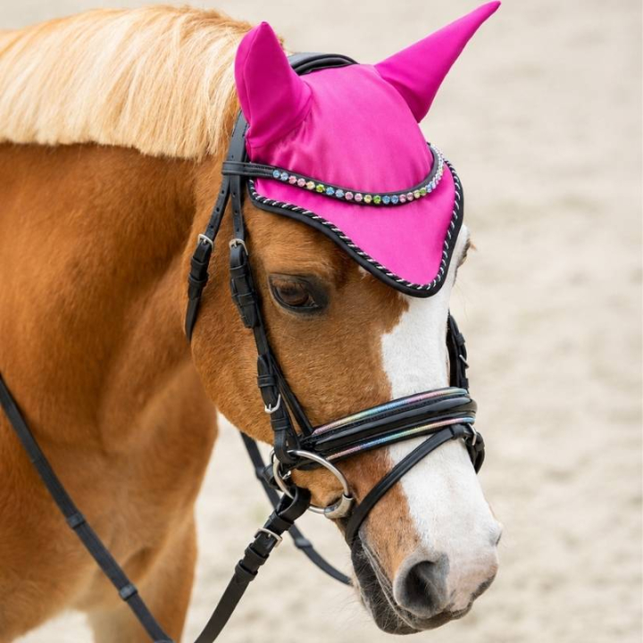 Bridle Isalyn Black in the group Horse Tack / Bridles & Browbands / Bridles at Equinest (9124ZW1BA_r)