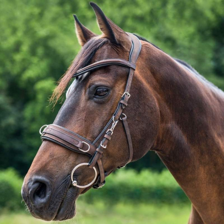 Cavesson Leather Anatomic Brown in the group Horse Tack / Lunging & Long Reining at Equinest (9560330PBR_r)