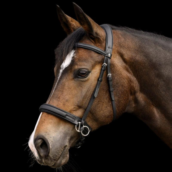 Bitless Bridle Supersoft X-Line Black in the group Horse Tack / Bridles & Browbands / Hackamores & Bitless Bridles at Equinest (9572301PBA_r)
